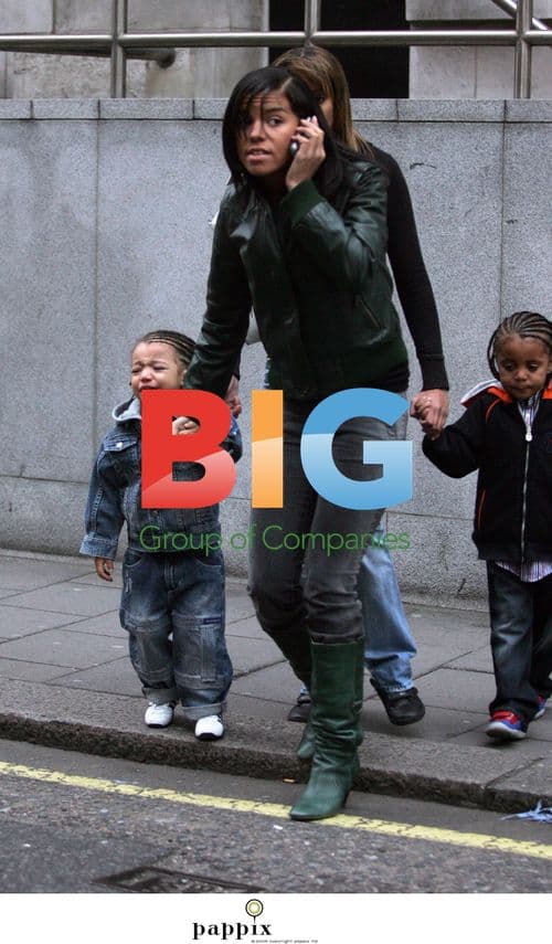 Ms Dynamite Arrested for Assault