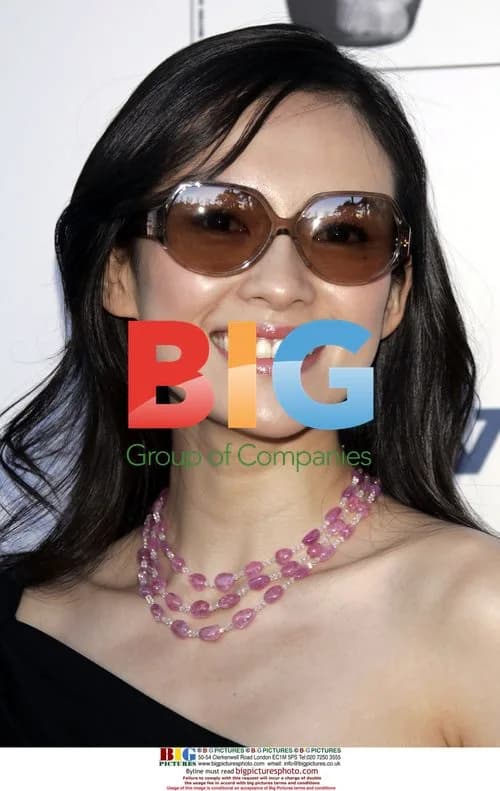 Ziyi Zhang at BAFTA/LA Tea Party