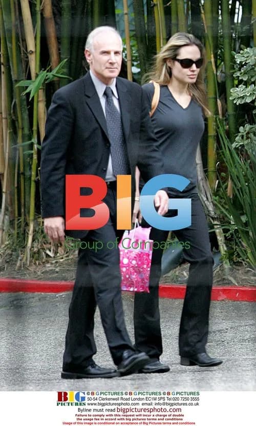 Angelina Jolie in Clingy T-Shirt