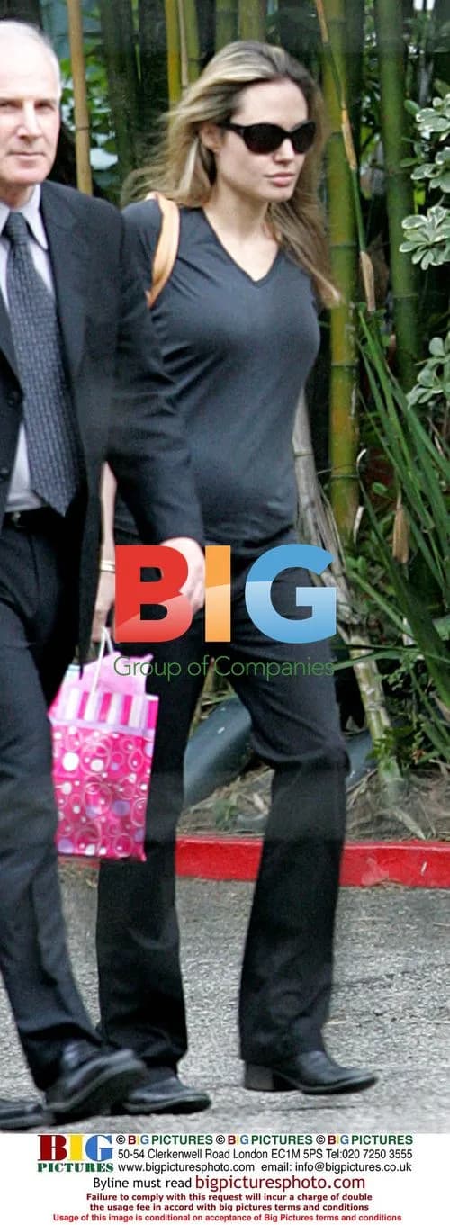 Pregnant Angelina Jolie in Clingy Shirt