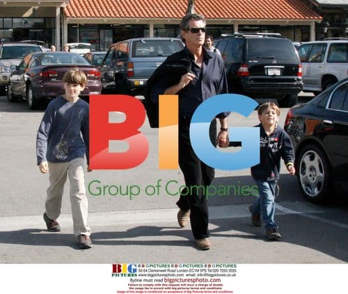 Pierce Brosnan and sons visit pet store