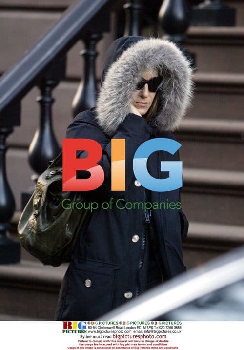 Sarah Jessica Parker's Domestic Day