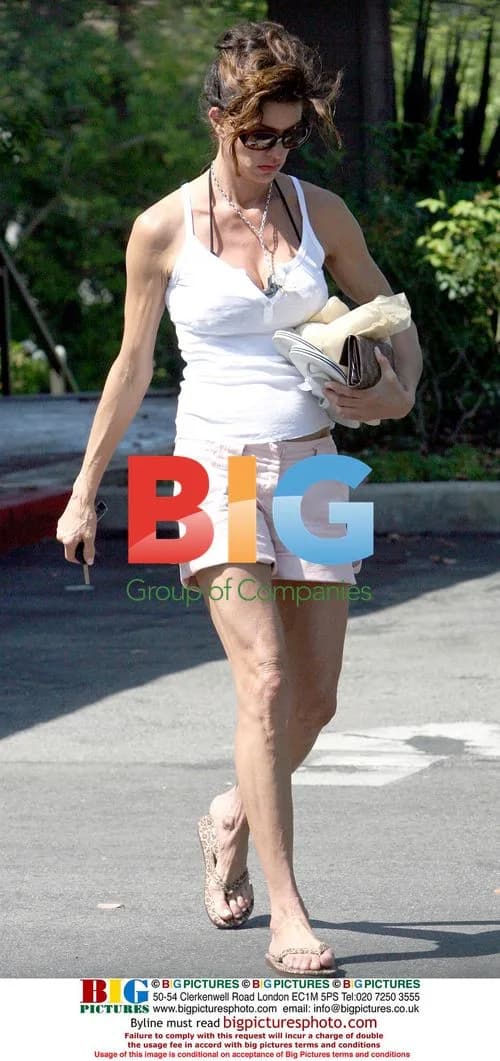 Janice Dickinson Changes Before Shopping