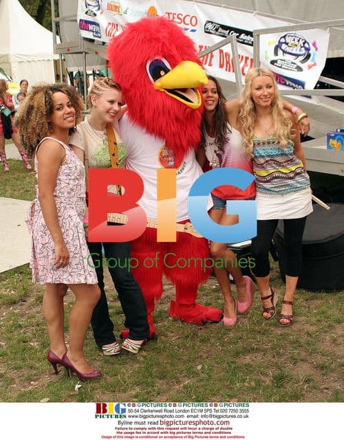 FRANK band members at wave party in Singleton Park