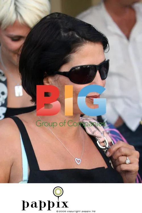 Sadie Frost picked up by friends in VW camper