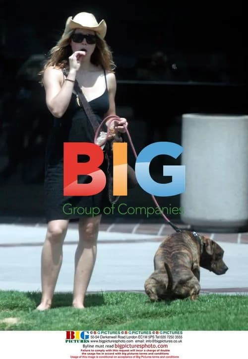 Jessica Biel and dog out in Brentwood