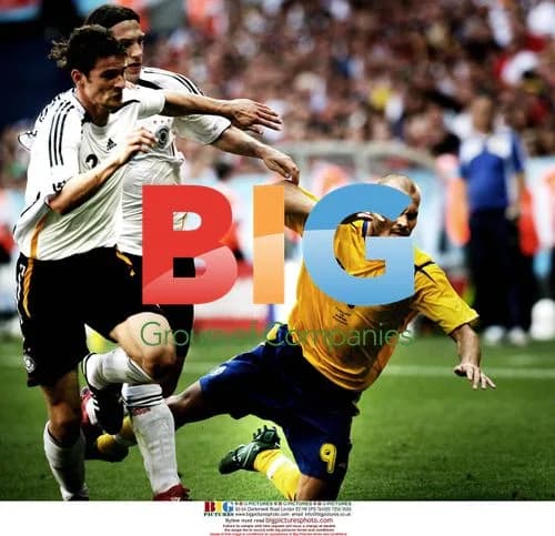 Fredrik Ljungberg at 2006 World Cup