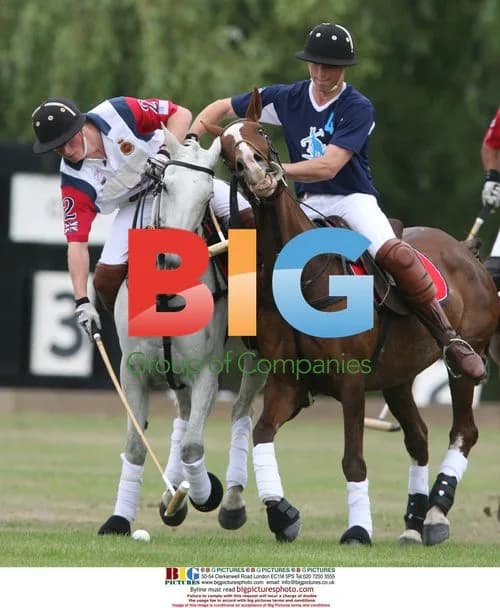 Prince William and Harry Play Polo at Sandhurst
