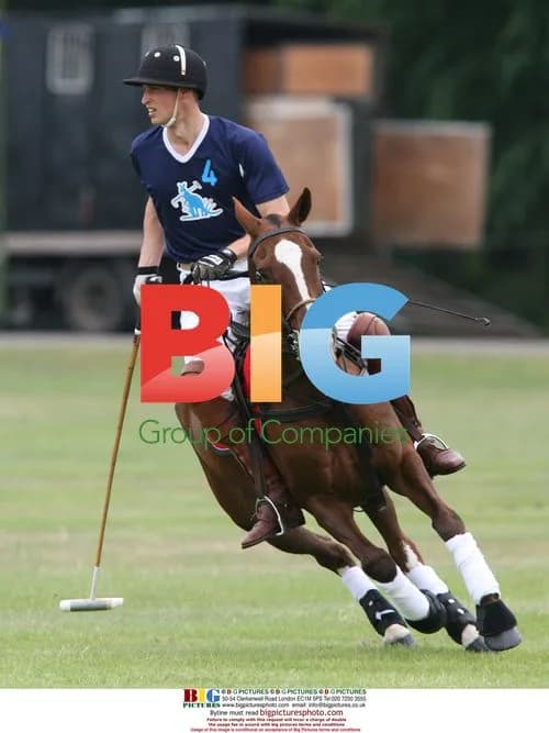 Princes William and Harry play polo at Sandhurst