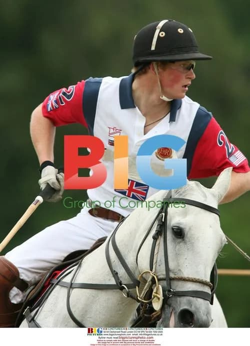 Princes William and Harry play polo