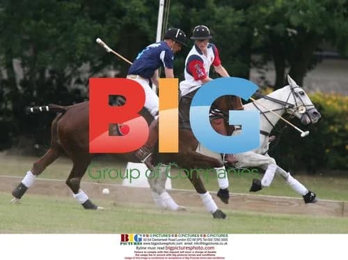Princes William and Harry Play Polo at Sandhurst