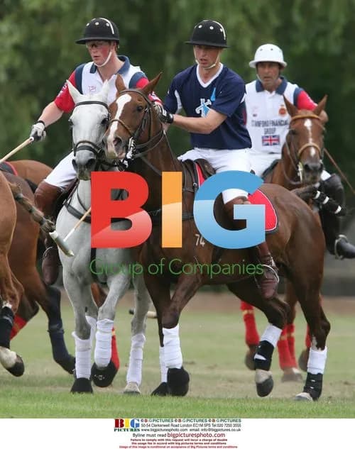 Prince William and Prince Harry Play Polo at Sandhurst