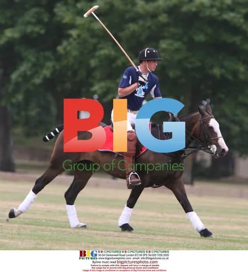 Prince William and Prince Harry Play Polo at Sandhurst