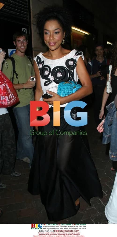 Sophie Okonedo leaving Stormbreaker premiere party