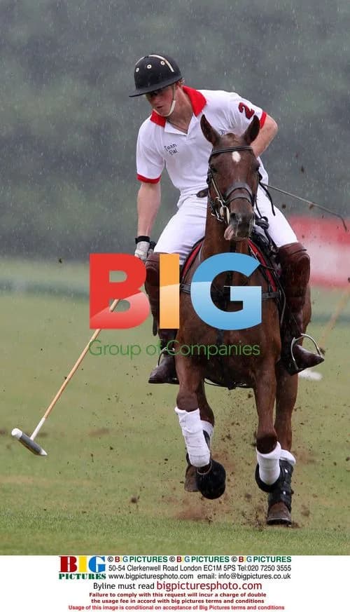 Prince Charles and Prince Harry's girlfriend Chelsy Davy at Polo Match