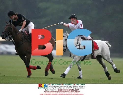 Prince Charles and Chelsy Davy watch Prince Harry play polo