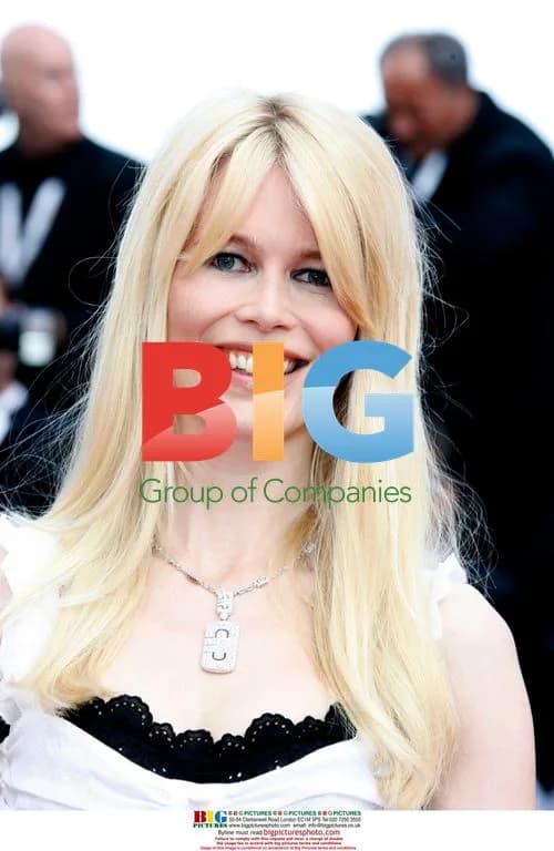 Claudia Schiffer at 59th Cannes Film Festival