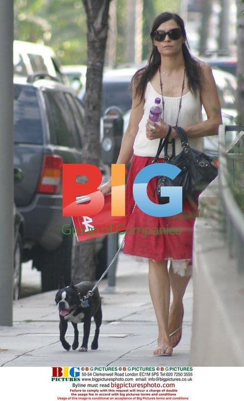 Famke Janssen Walks Dog in Hollywood