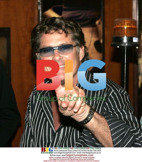 David Hasselhoff gets lift from security at Heathrow