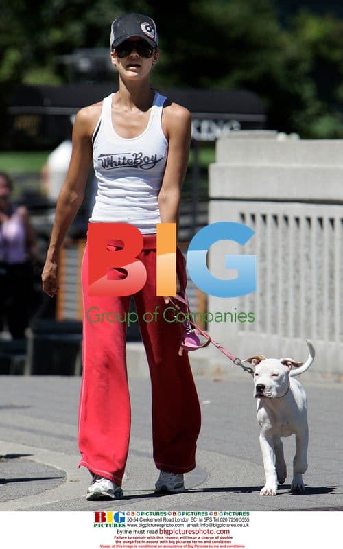 Jessica Alba Plays with Puppy in Vancouver