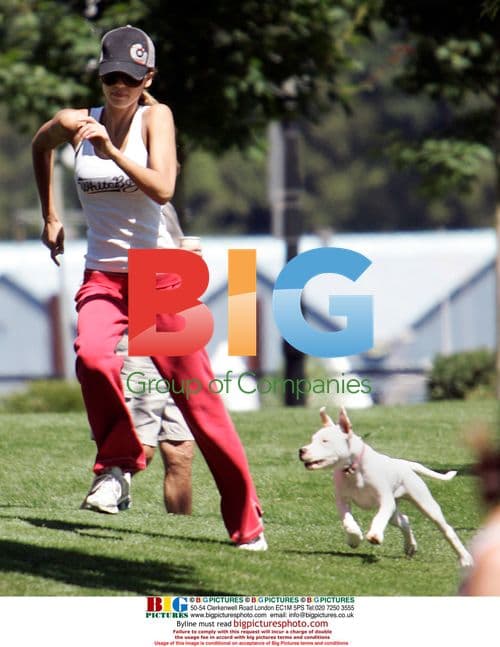 Jessica Alba plays with puppy in Vancouver