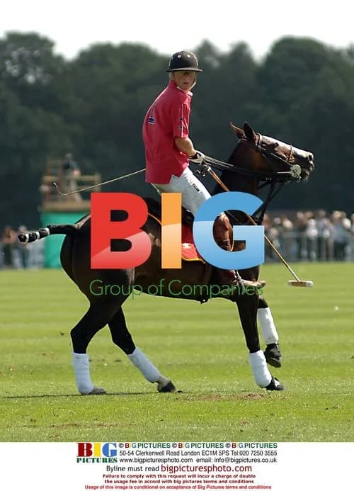 Prince Harry at Cartier Polo Event