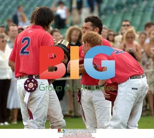 Prince Harry Polo Incident