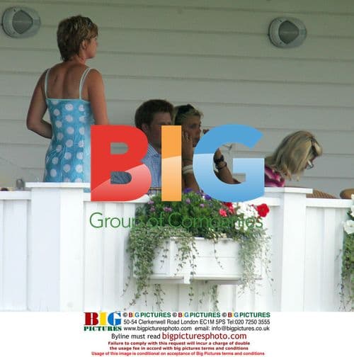 Prince Harry at Cartier Polo Cup