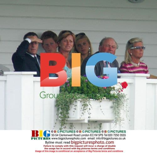 Prince Harry at Cartier Polo Match