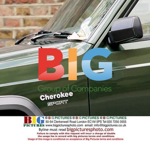 Actress Michelle Collins gets parking ticket