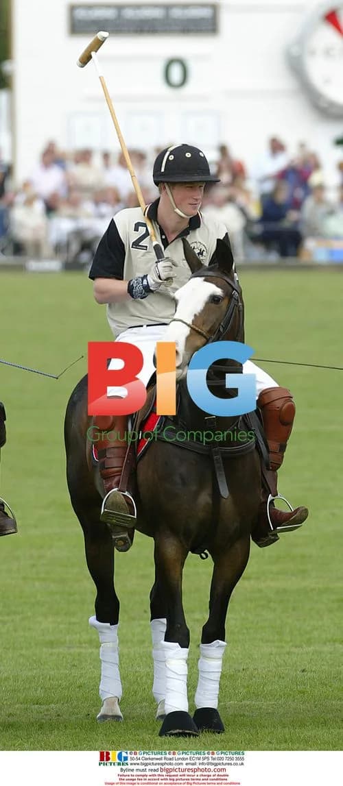 Prince Harry Playing Polo in Surrey