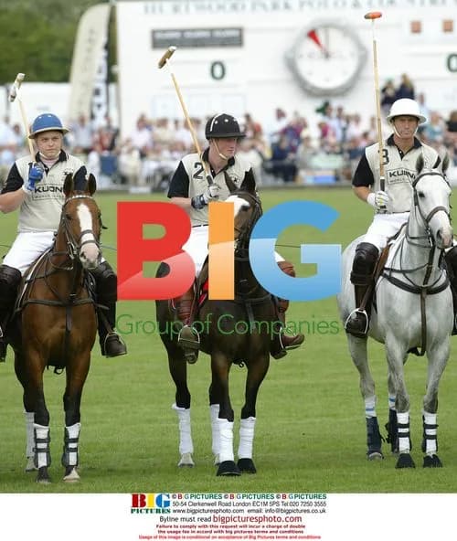 Prince Harry Playing Polo