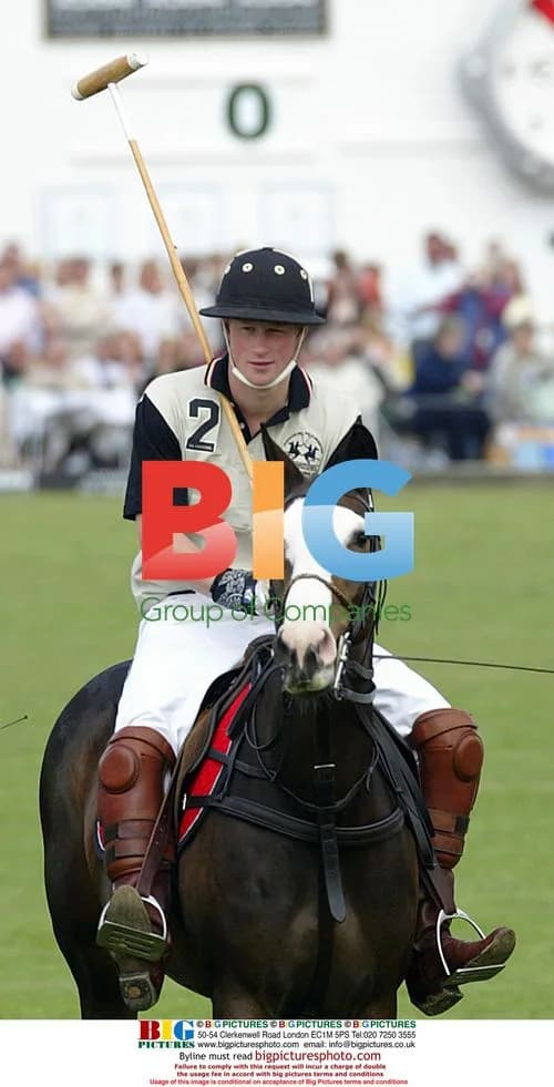 Prince Harry playing Polo