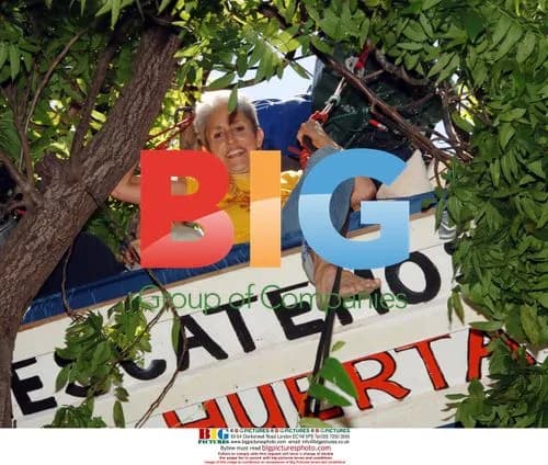 Joan Baez Sits in Tree to Save Urban Farm
