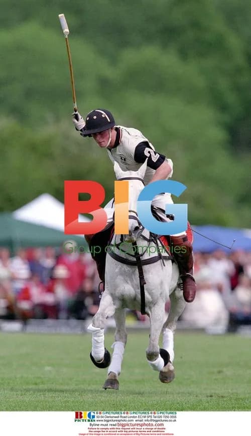 Prince Harry Wins Polo Match