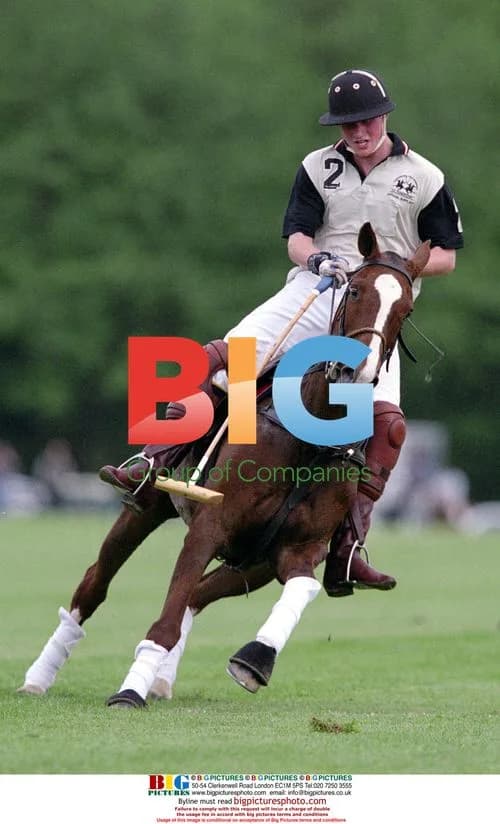 Prince Harry Wins Polo Cup