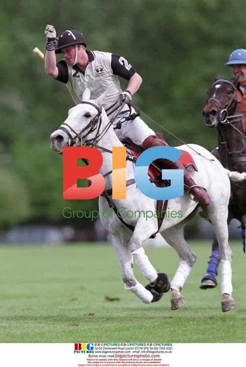 Prince Harry Celebrates Polo Victory