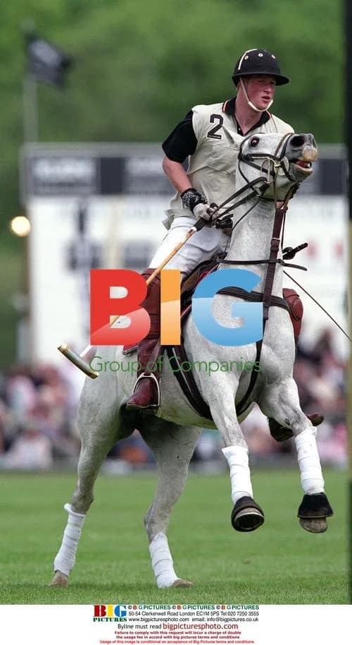 Prince Harry at Polo Cup