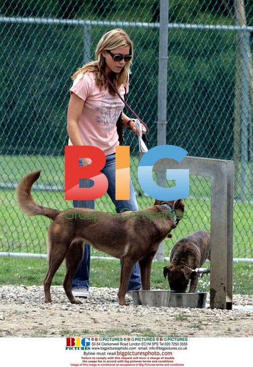 Jessica Biel takes her pit bull to dog park