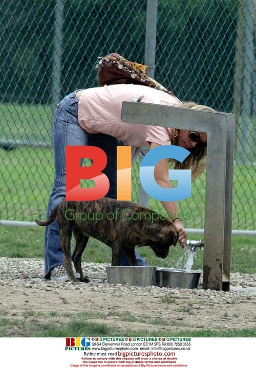 Jessica Biel with Pit Bull Puppy at Dog Park