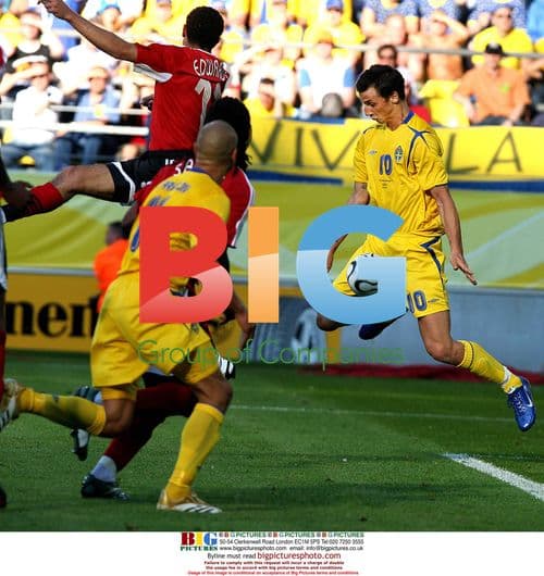 Zlatan Ibrahimovic at 2006 World Cup