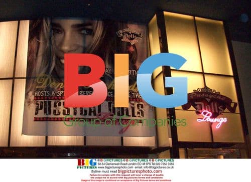 Denise Richards Performing in Las Vegas