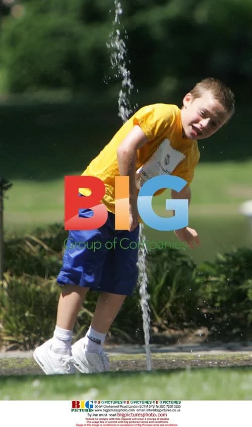 Beckham family enjoy day out at park