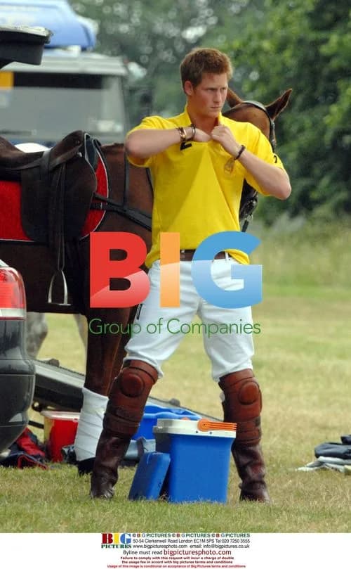Prince Harry at Sentebale Polo Challenge