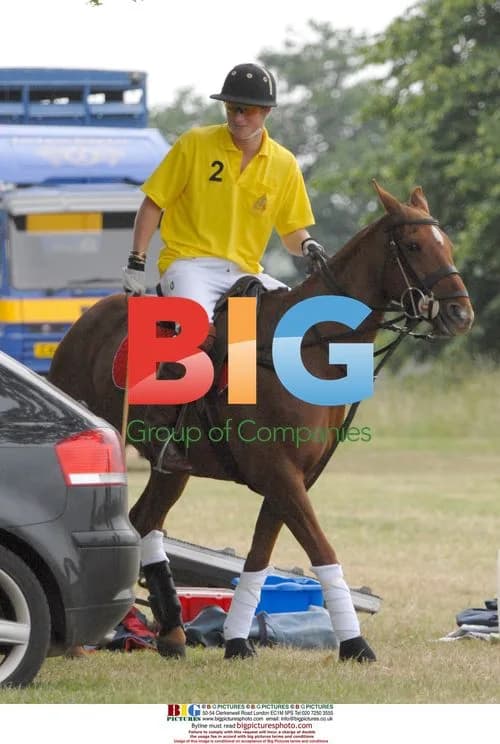 Prince Harry plays polo in Berkshire
