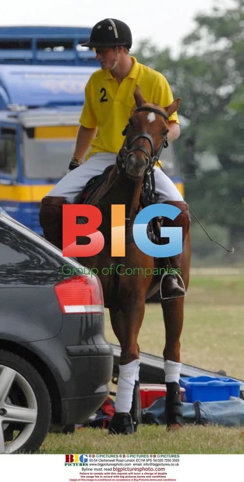 Prince Harry plays polo at Sentebale event