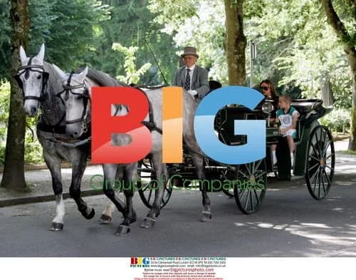 Victoria Beckham's Family Carriage Ride