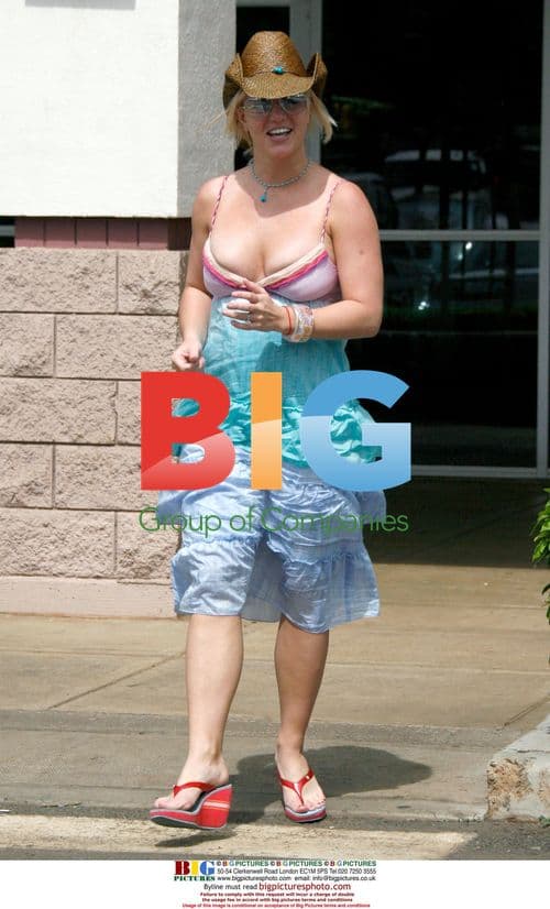 Britney Spears Goes for Lunch in Maui
