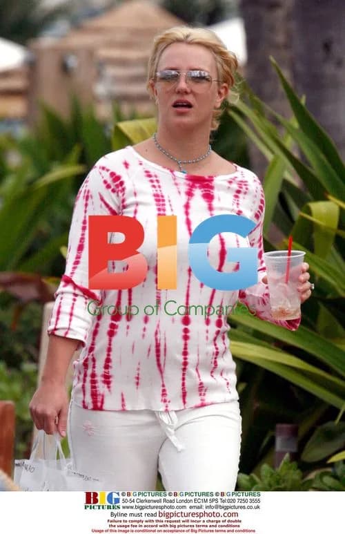 Britney Spears shopping in Maui