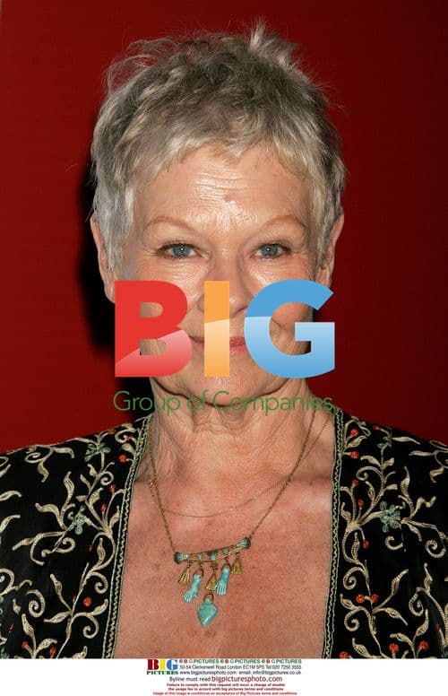 Dame Judi Dench at 2006 Weinstein Pre Oscars Party